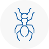 Ant Removals In Bolsover