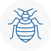 Bed Bug Extermination In Bolsover