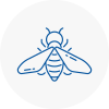 Bee Nest Removal Bolsover