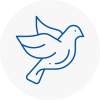 Bird Prevention Bolsover