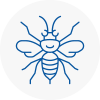 Bolsover Hornet Nest Removals
