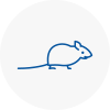 Mice Exterminators In Bolsover