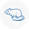 Rat Control Bolsover