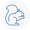 Bolsover Rodent Removals